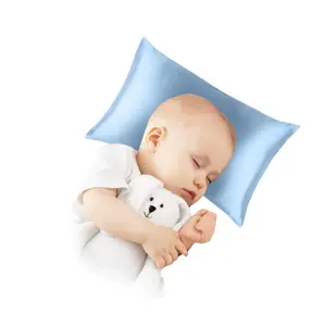 ROSEWARD 100% 22 Momme Mulberry Silk Small Pillow 10"x 13" with Organic Cotton Fill, Soft Tiny Little Pillow for Travel, Hypoallergenic, Made in USA