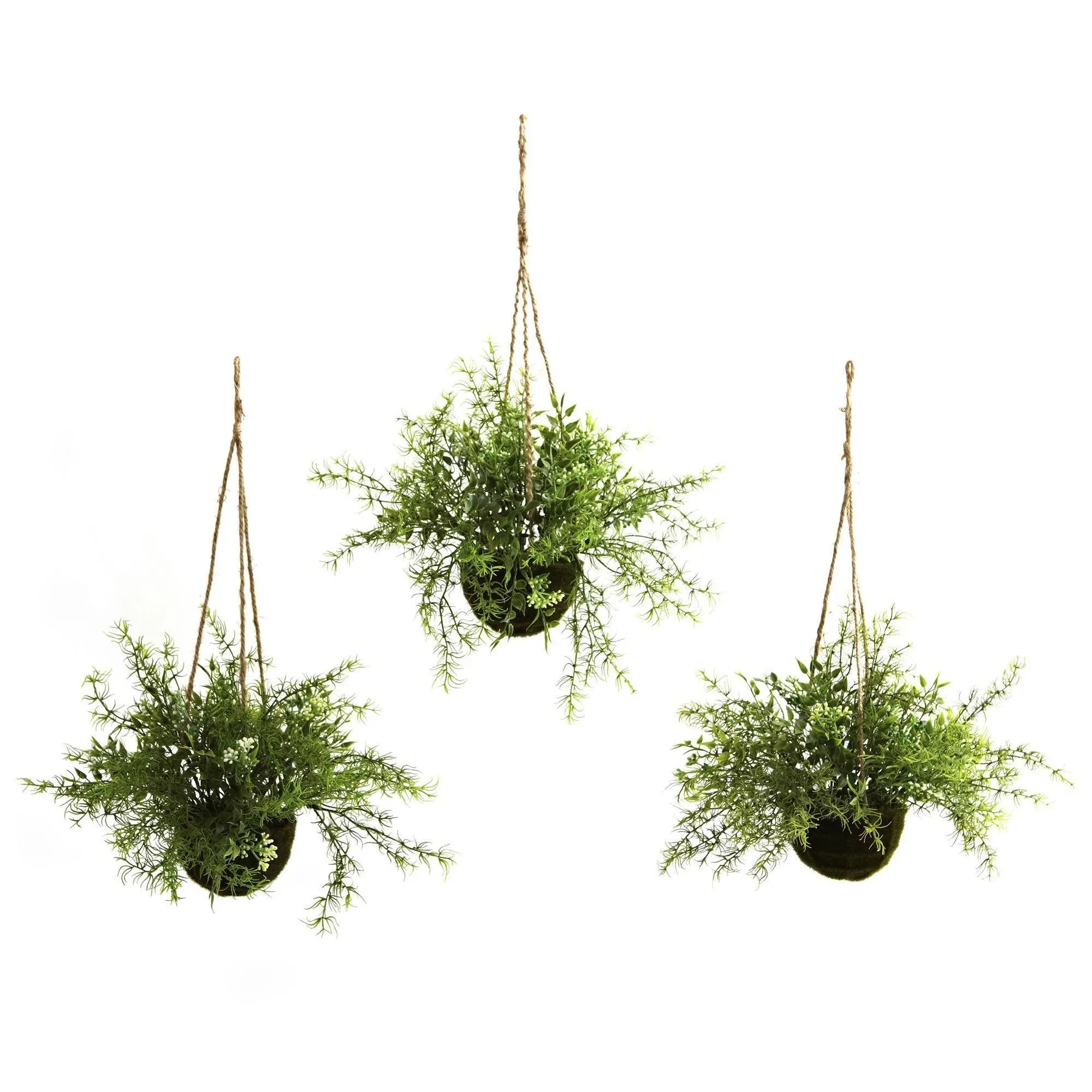 Set of 3 Ruscus, Sedum & Springeri Indoor Hanging Flower Pots - Home Planter Greenery Baskets for Kitchen & Office, Plants in Pot That Stays Fresh-Looking for Years