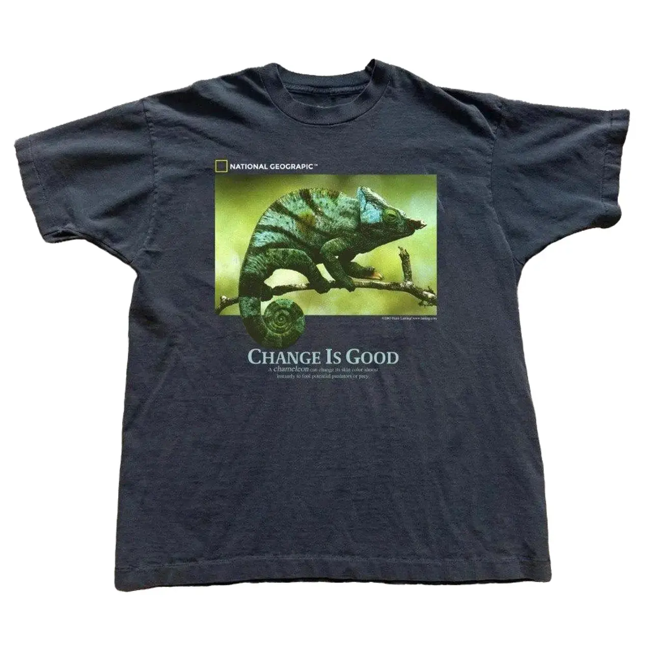 1993 National Geographic Chameleon Unisex Tee Cotton Shirt