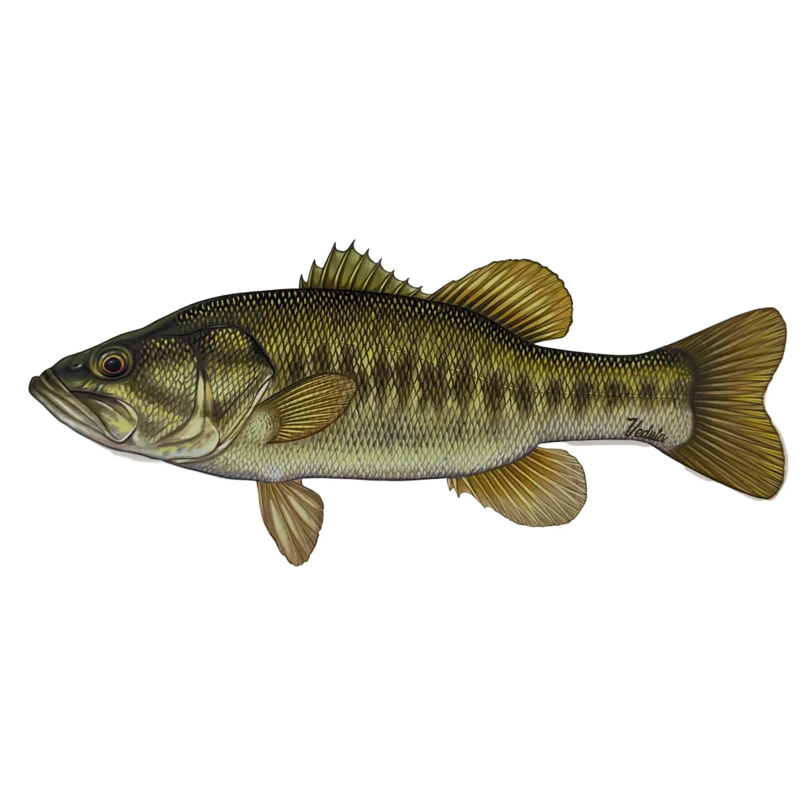 Fish Shape Large Vinyl Film Largemouth Bass Fishing Sticker for Boats, Coolers