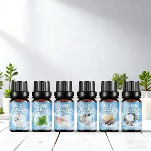 Clean Essential Oil Set, Fresh Natural Humidifier Oils Aromatherapy Diffuser Oil Long-Lasting Scented Perfume Oil, 10ML X 6 Bottles, Aromatherapy & Home Fragrance