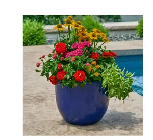 Brand Name - Planter for All Your Plants, Blue Color, Versatile Design for Various Plants, Ideal for Indoor & Outdoor Use