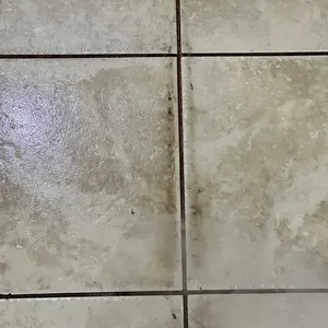 Product Review of Schenley 18-in-1 Steam Mop with Detachable Handheld Steamer for Walls, Floors, Tiles, Tackles Grease & Sticky Messes, Includes Multiple Accessories Cleaning Tools Cleaning Set from T**s G**l