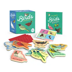 Birds: A Wooden Magnet Set by RP Minis [Novelty Gift]