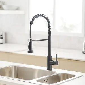 New Single Handle Pull-Out Sprayer Kitchen Faucet