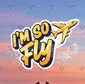 I'm So Fly Airplane Adhesive Die-Cut Decorative Sticker for DIY Scrapbooking & Stamping, Adhesive Stickers Stickers, Decorative Sticker Stickers