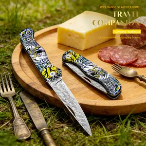 Damascus Steel Kitchen Knife - Ultra Sharp Fruit Knife, Premium Utility Knife, Rust Resistant,Ergonomic Handle