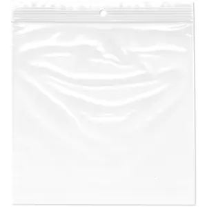 Plymor 6" x 6", 2 Mil with Hang-Hole Zipper Reclosable Plastic Bags