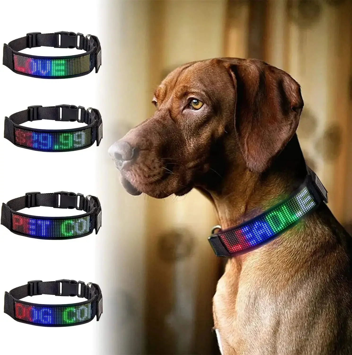 Programmable LED Dog Collar – Flashing Light-Up Rechargeable Safety Collar for Night Walks