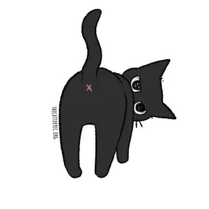 What are you looking at Cat Magnet