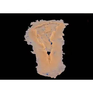 Silicone Prosthetic Large Laceration