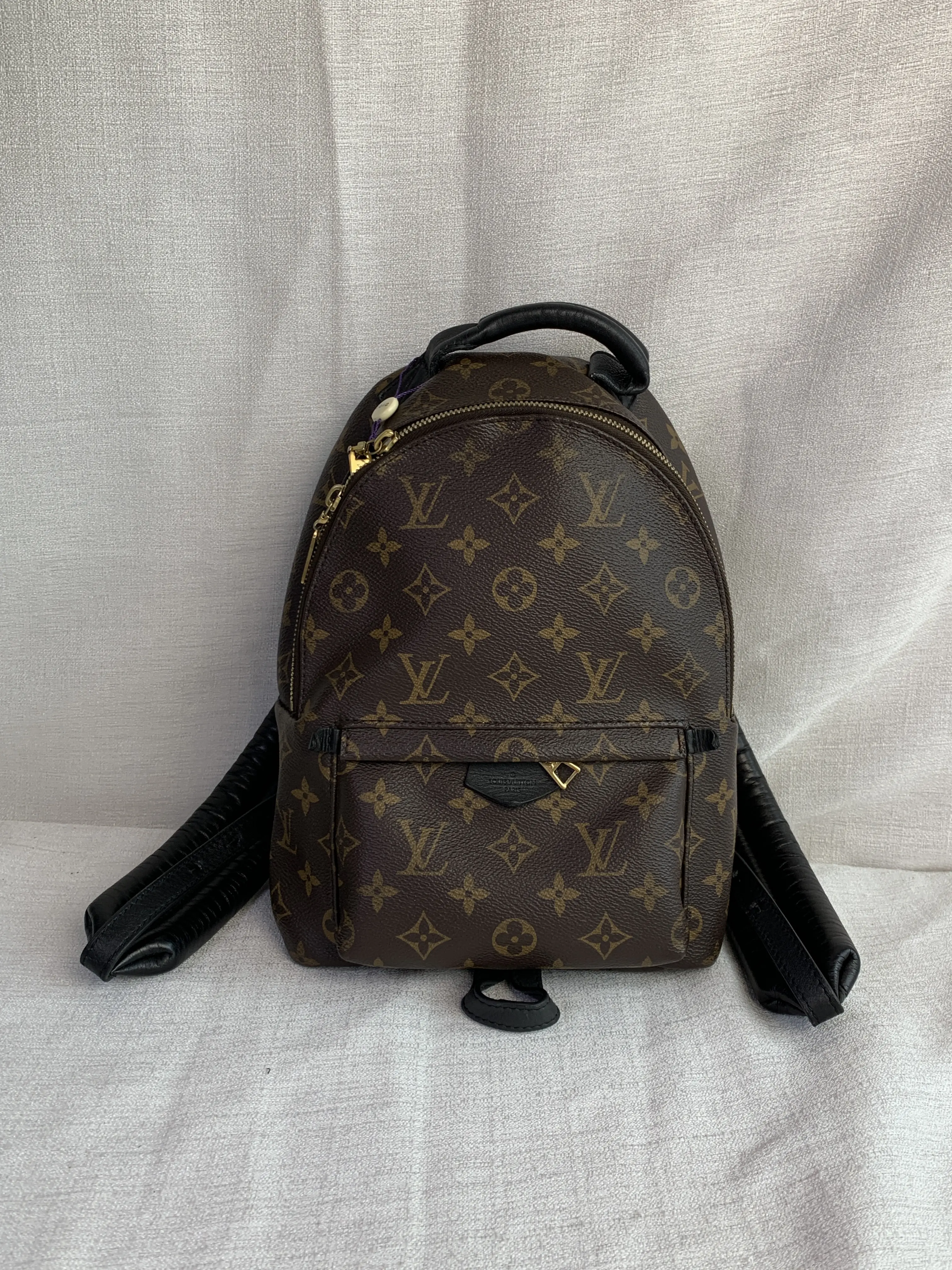 Pre-owned Louis Vuitton Monogram Mini Backpack/WJ09211823/1823