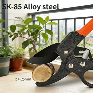 Handheld Segmented Pruning Shears Sk5, Ergonomic Design, Efficient Branch Trimming, Garden Tool for Flower Buds & Thick Twigs