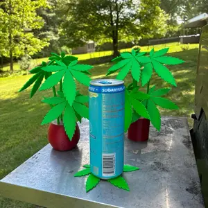 Weed Leaf Coaster Plant