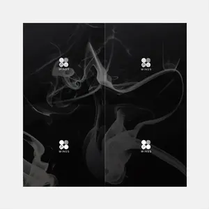 BTS – WINGS (2nd Studio Album) | Official K-Pop CD Album | W Ver. / I Ver. / N Ver. / G Ver. | 96p Photobook + Random Photo Card | Blood Sweat & Tears.