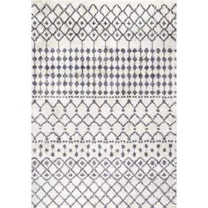 Barbara Moroccan Shag Area Rug