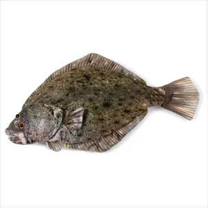 Real Planet™ Brown Halibut Realistic Plush Stuffed Animal