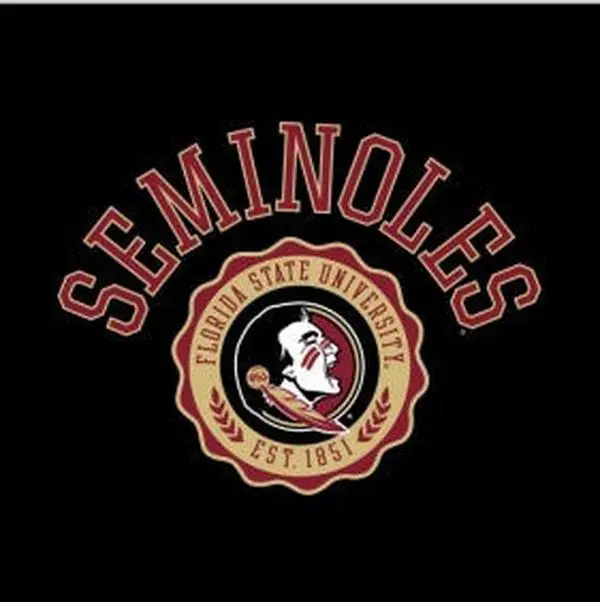 Florida State Seminoles Over Faux Seal Men's Tee