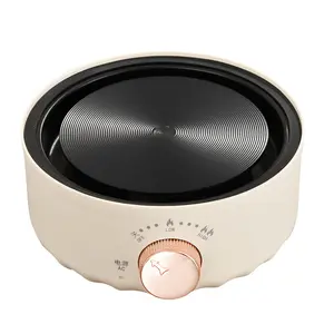 Multifunctional Electric Coffee Maker Moka Pot Tea Stove Mini Flower Tea Heater Office Water Boiler