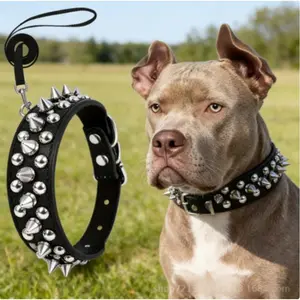 Rivet Studs Dog Collar & Leash Set - Adjustable Durable Fashionable Walking Essentials