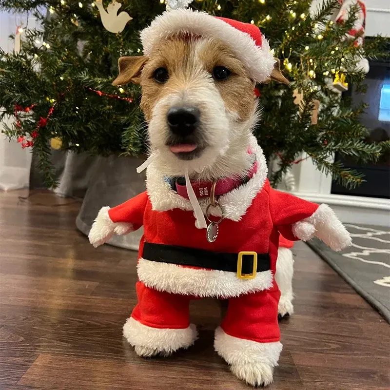 Cute Santa Dog Costume with Hat, Christmas Outfit for Small Dogs & Cats, Holiday Party Pet Clothing