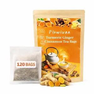 Anti-Inflammatory Tea Bags with Ginger, Turmeric & Cinnamon | Joint Comfort & Soothing Support | 120 Count Biodegradable, Caffeine-Free, Sugar-Free, Vegan & Gluten-Free Herbal Tea