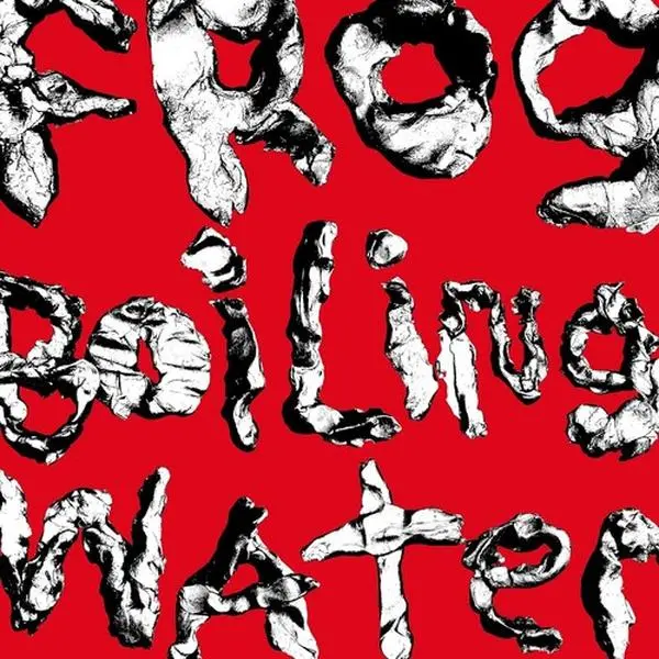 Diiv - Frog In Boiling Water (Vinyl LP)