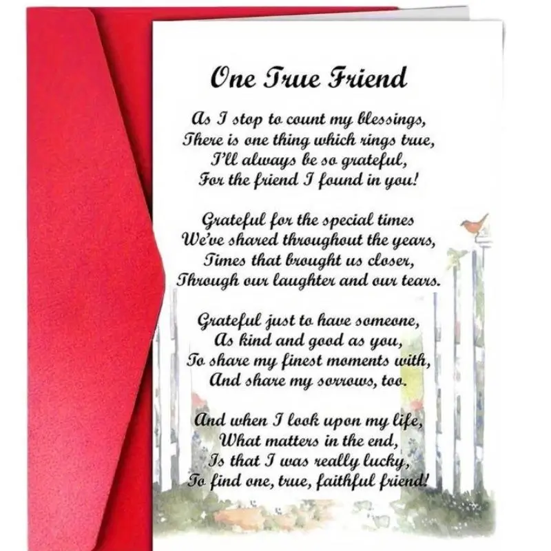 Friendship Card with Envelope, Heartfelt Poem Gift for Best Friend, Perfect for Friendship Day, Sentimental Present for Close Friends