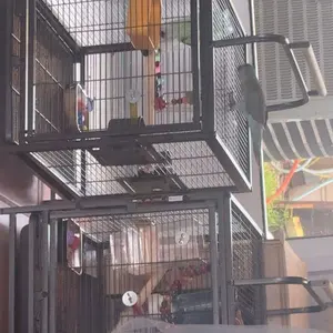 Set of 11 Cage Colorful Toys, Swing Hanging Standing Chewing Toy Hammock Climbing Ladder Suitable for Budgerigar, Parakeet, Conure, Cockatiel, Mynah, Love Birds, Finches summervibes