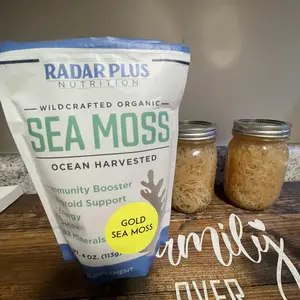 Royal Gold Sea Moss -  Eucheuma Cottonii species from St Lucia - 4 of dry sea moss - Radar Plus Nutrition Dried