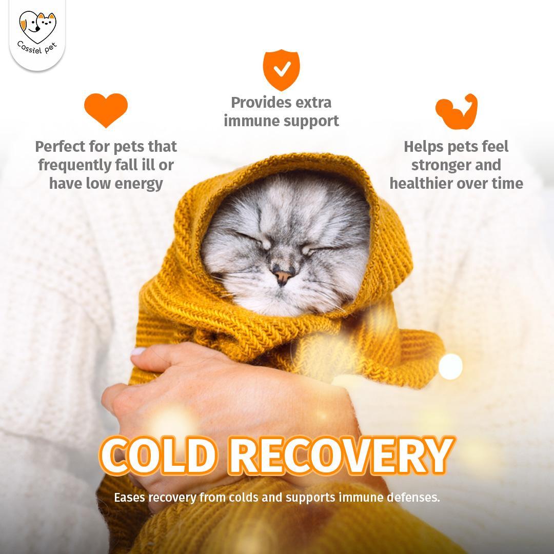 Cassiel Pet Immune Booster for Dogs & Cats - Natural Nutritional Syrup, Supports Daily Wellness, Energy & Vitality, Plant-Based Formula, 60ml