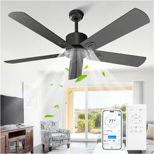Black Ceiling Fan No Light, 52 in Outdoor Flush Mount Ceiling Fans with Remote Control without Light, 5 , 6 Speed Reversible DC  Modern for Patios, Garage, Bedroom, Porch