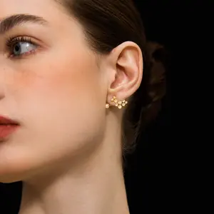 Starry Night 925S Silver Stud Earrings