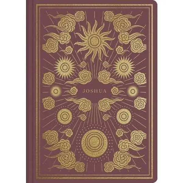 USED Book - ESV Illuminated Scripture Journal: Joshua by Esv Bibles (Paperback) - english