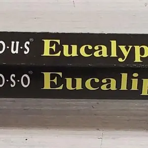 Hem Hexagon Eucalyptus Incense Sticks