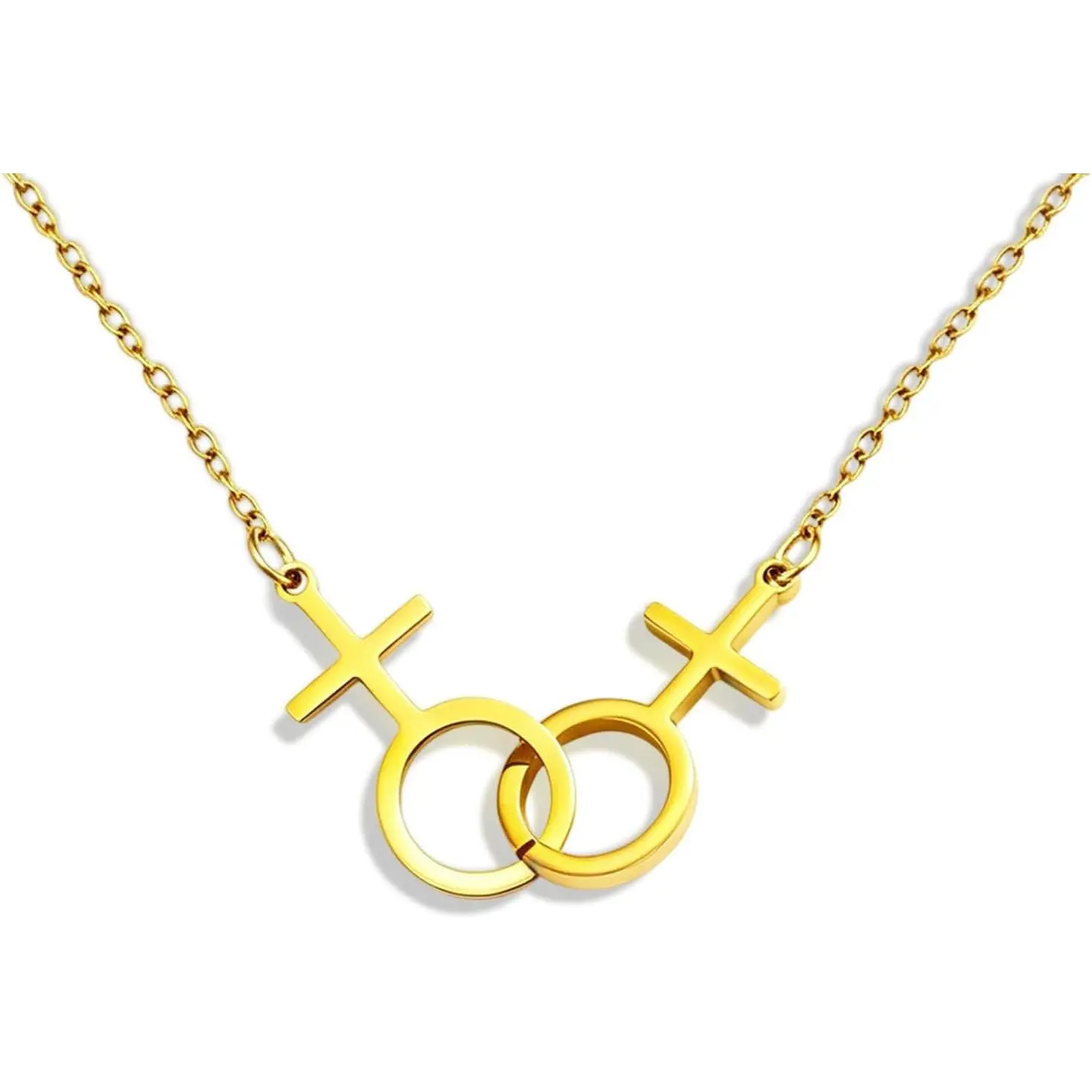 Lesbian Gifts Lesbian Pride Necklace Gifts for Lesbians Pride Accessories for Women Double Venus Necklace Mrs and Mrs Wedding Gift Mothers Day Christmas Valentines Gift for Women