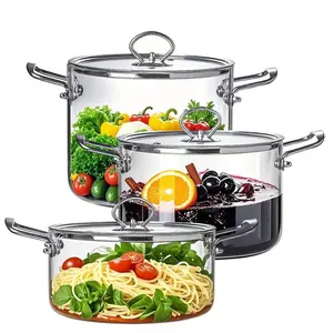 Large Capacity Glass Pot with Lid,1 Count Stainless Steel Handle Cookware,Clear Transparent Glass Pasta Pot, Cooking Pot for Home Kitchen