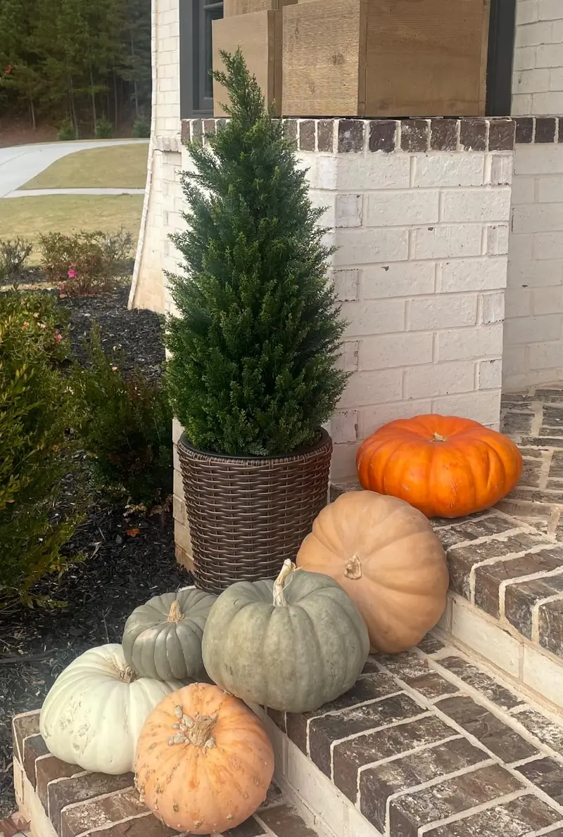 Product Introduction of 2 pcs Artificial cedar tree, 3FT or 4FT 5FT Tall Faux Cedar Tree, UV-Resistant Topiary Trees Artificial Outdoor, Artificial Trees for Outdoors Porch Garden christmas tree Christmas tree Plants Decorative 1