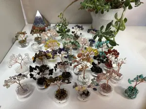 Chen(11049)gc.Chips money tree $30 for 30pc