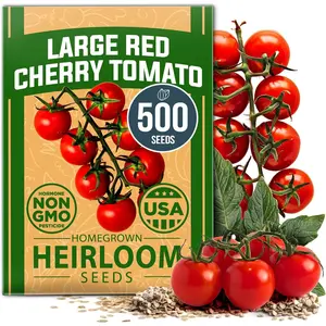 Large Red Cherry Tomato Seeds Pack - 500 Non-GMO Seeds