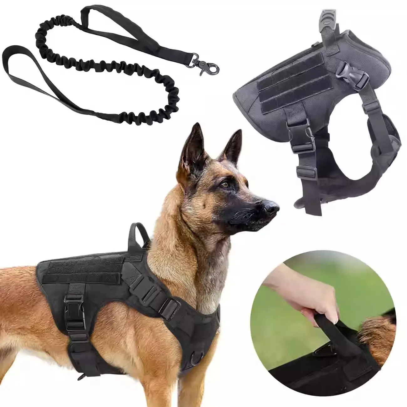 Non-Customized Solid Black Harness & Leash Set for Large Breeds (M/L/XL), Adjustable Nylon Vest Harness with Plastic Buckle, Easy-Control Handle, Durable Bungee, Safety Hook, Puppy Seat Belt for Outdoor Training, Harnesses