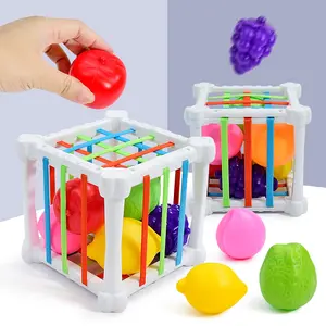 Fruit Rainbow Threading Toy, Shape Color Recognition Hand Skills Training Early Education Baby Learning Toy, Unisex Ages 0-2 Years, Sensory Activity Board