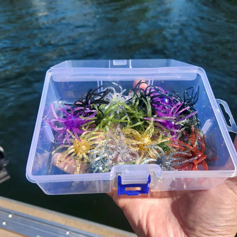2.5" Urchin( Mystery Color)