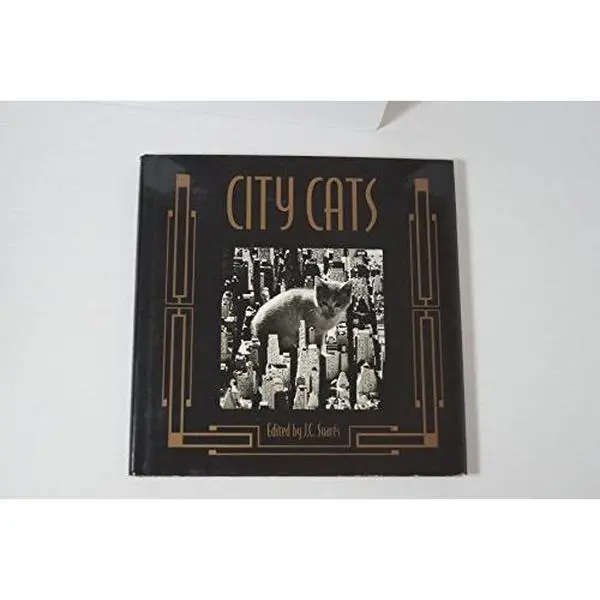 USED-City Cats by J. C. Suares (Hardcover)