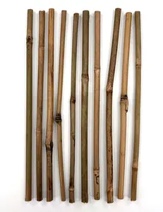 Bamboo Bamboo