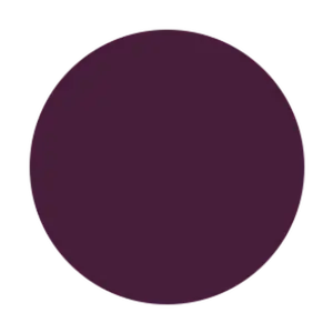 LUXURY GODDESS Liquid Velvet Lipstick Voodoo Dark Purple Maroon Undertone Matte Longwear Lightweight Lipgloss Makeup