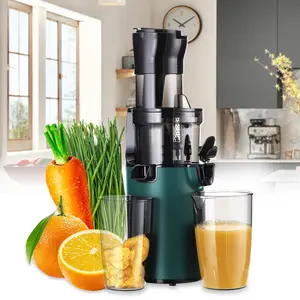 Cold pressing juicer,slow masticating juicer,Suitable for fruits and vegetables, low noise, easy to clean, kitchen tools.