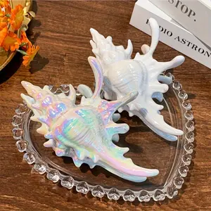 1pc  Hip-Hop Marine Series Conch Hair Clip - Large White Seashell Design with Iridescent Rainbow Finish, Durable Hair Grip for Daily Wear, Parties, Travel & Beach Photo Shoots, Ocean Hair Accessories, Iridescent Finish