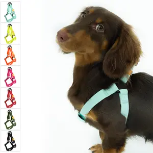 PetJoot AllWeather Waterproof Dog Harness - Orange Honeycomb Design, Adjustable, Quick Release Buckle, EcoFriendly, Weatherproof