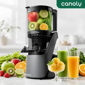 Canoly C16 3-in-1 Cold Press Juicer, Quiet Masticating Juicer with 6" Wide Chute, Easy Clean for Juice, Nut Milk & Sorbet